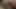 First Night with a Beautiful Woman Passionate First Night Story