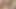 Bareback Asshole Fucking With Cumshot