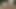 12 Ocak günü sfm & blender porno derlemesi - 2022