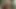 Seni seviyorum ama dışarıdaki yatak odası tamamen öldü