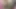 Şehvetli MILF Cheval Dildo Satıcısı Tarafından Sevişiyor