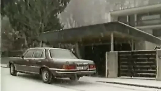 seni seviyorum (1984)