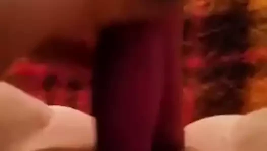 Stacys küçük kedi dostum