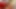 Seksi orta yaşlı seksi kadınlar kanepede büyük yarak emmeyi ve sikişmeyi seviyor