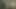 Sürtük orta yaşlı seksi kadın amına döl yalatıyor ve amını parmaklıyor ve sonra sikişiyor