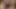 Seksi dar kıyafetli yapay zekalı anime kızlar derlemesi sfw set 11