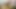 Esmer kadın amını sikerken götüne dildo sokuyor