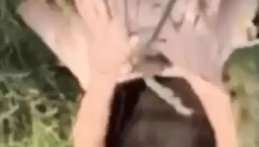 6 aylık seks derlemesi