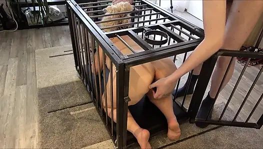 Evet Usta, ben seninim