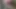 benim desi kız arkadaş şeritler benim için içinde video arama gerçek büyük b