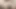 Kürk kaplı honeypot ve sıkı rektumlu Asyalı bomba senin tarafından döllenmek için hazır!