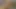 Beyaz çöp Britney Young birkaç dolar için büyük zenci yarağı tarafından sikiliyor
