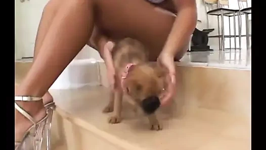 Jasmine Tame'in feat bir şey hissetmek için iki yarağa ihtiyacı var. Jasmine Tame, Broc Adams, Slimm Dogg - sapık orta yaşlı seksi kadınlar