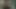anal