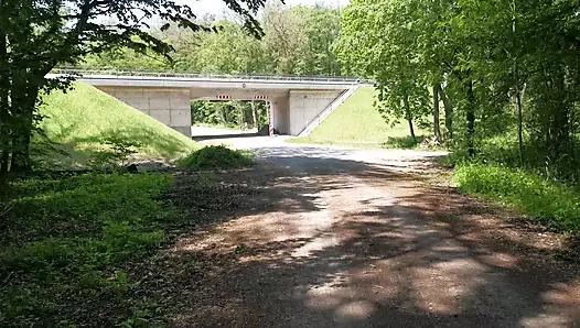 Demir yolu köprüsünün altında sert memeler sikiyor