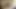 Yaramaz Tay civciv ile çük yayılır ona kıllı göt yanakları