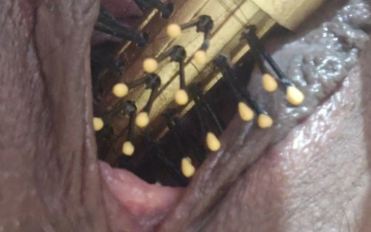 Amcığını kıllarla parçalıyor