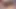 Redbone ışık büyüklüğünde kraliçe büyük siyah dildo üzerinde sert dölleniyor.