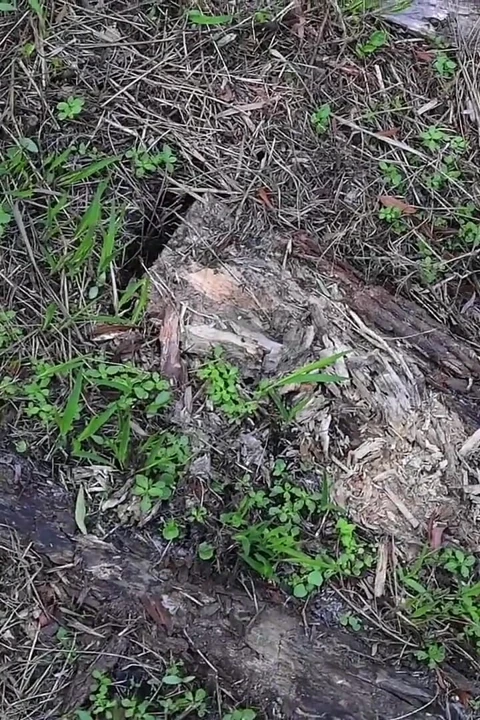 Tam Gün Videosu