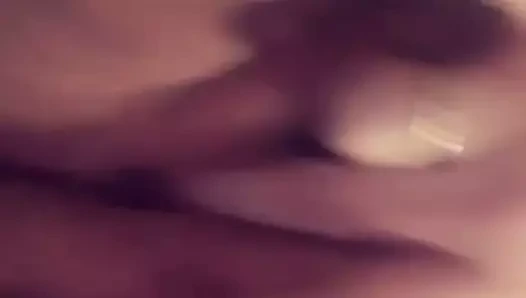 Şişman kedi mastürbasyon