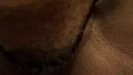 Kamboçyalı kedi srey