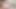 Dev horoz tranny angeles cid içinde bir fotoğraf çekimi