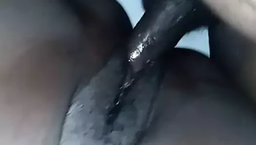 Kremsi oyuncak iyi kedi