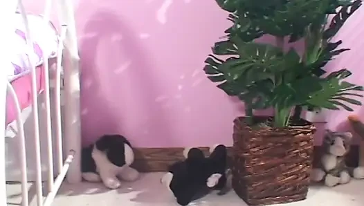 Azgın esmer bir adam amını emiyor