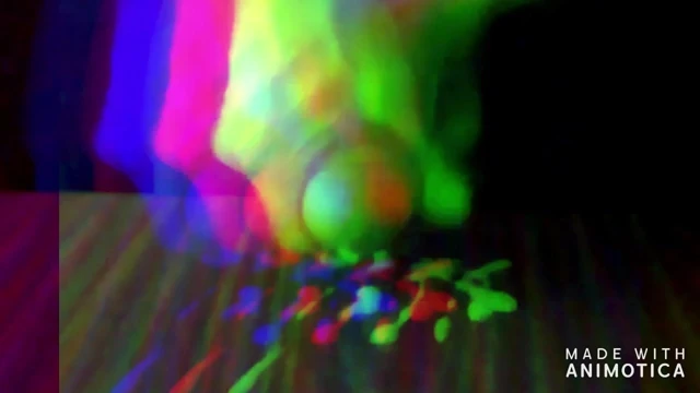 trippy bambicd1