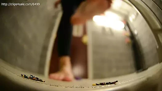 Üniversite tatlısı barefeet binasındaki zararlılardan iğrendi