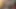 Dört seksi kızla striptiz yüksek kart heyecanlı bir oyun