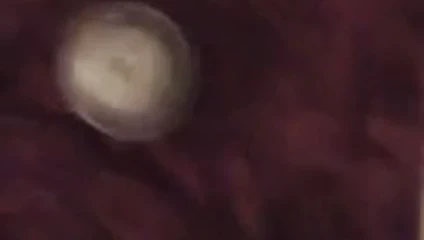 Mastürbasyon yapan şu büyük sperm patlamasına bak