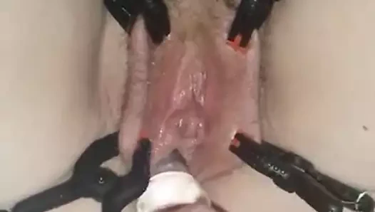 Kt gülü tekrar alır