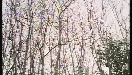 Une Epouse a tout faire (1980)