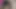 Zenci iri güzel kadın büyük amını siktirmeyi seviyor