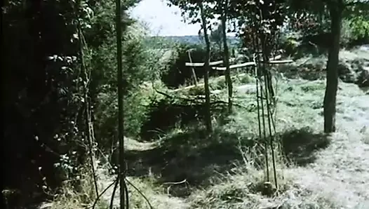 Die Flasche zum Ficken (1978) with Barbara Moose