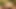 Legendary busty bbw gets becerdin