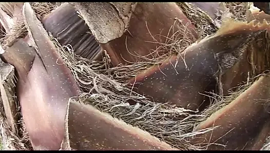 Sikiştiğimiz zaman her şey harika olacak! Ep 3