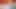 Seksi öğrenci üniversiteden sonra tutkuyla kedi ile oynuyor - amatör