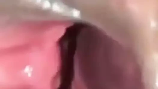 Dünyanın en büyük kedisi olan Afrikalı kız