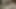 Dani daniels gets ona ıslak kedi yemiş