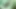 Stacxxxs sunar: Greenlight Special - Amber Lee