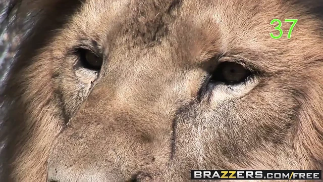 Brazzers - gençler büyük seviyor - çocuk bakıcısı eylemde yakalandı
