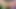 Genç Esmer Büyük Büyük Zenci Yarağı Dildoyla Amını Genişletiyor