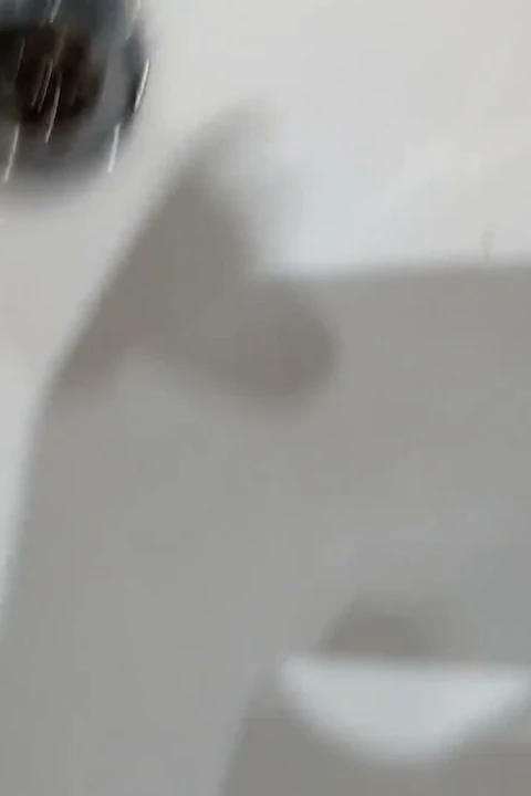 Domuz mahalle penceresinin önünde mastürbasyon yapıyor, komşuları takip ediyor