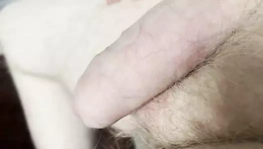 Willy'yi çekiyorum.