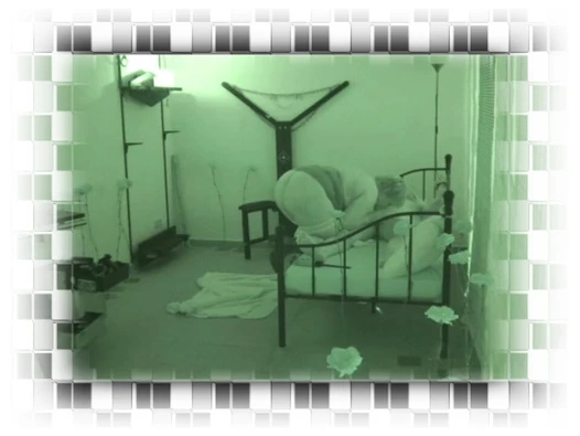 Gönüllü köle oynadı