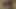 19.03.2019