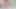 Külotlar ıslanıyor çünkü bu amcık çok fazla amcık suyu damlatıyor - yakın çekim