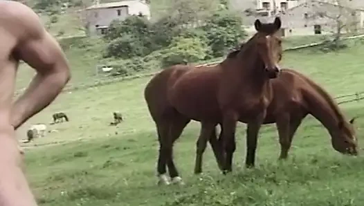 Eğitimden sonra, açık havada iyi bir sikişten daha iyi ne olabilir